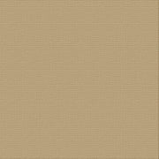 CARD STOCK 216gsm 10pack - Paper Bag 12 x 12